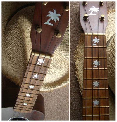 画像3: ヤシの木　ウクレレ用