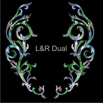 画像4: ゴシックラインDS アバロンMIX