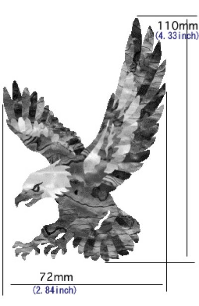 画像7: アメリカン イーグル