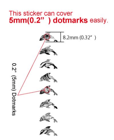 画像7: ドルフィン・イルカ