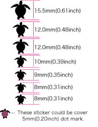 画像6: ウミガメ ウクレレ・ポジション