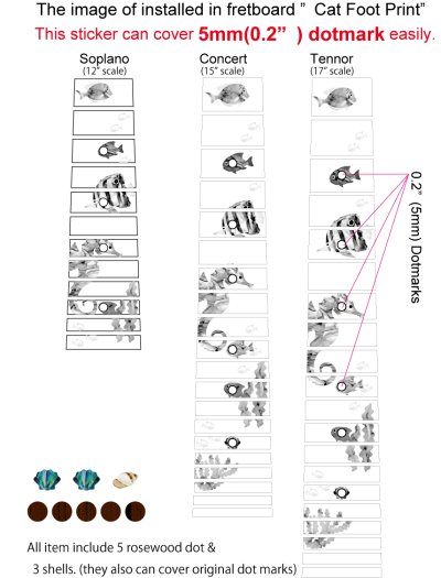 画像11: 小さな水族館