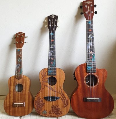 画像9: 小さな水族館