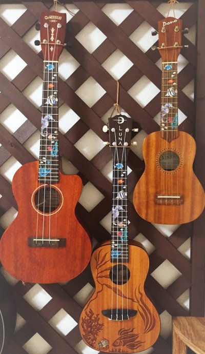 画像10: 小さな水族館