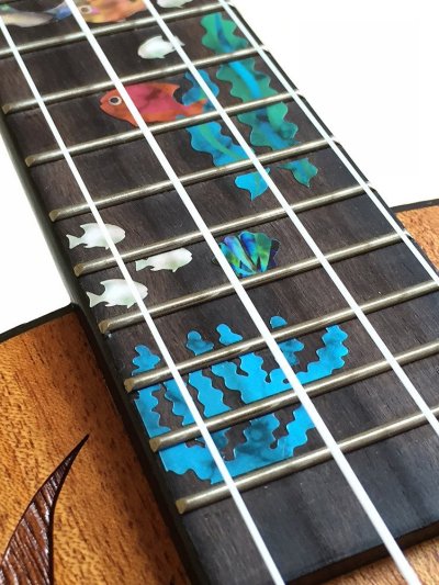 画像7: 小さな水族館