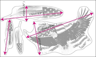 画像5: Layer Graph クリアステッカー  / アメリカン・ イーグル