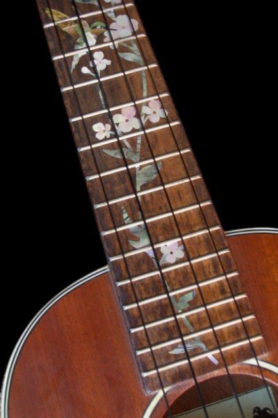 画像5: ツリー・オブ・ライフ with ハミングバード ウクレレ用