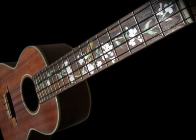 画像4: ツリー・オブ・ライフ with ハミングバード ウクレレ用