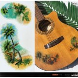 Layer Graph クリアステッカー  / ヴィンテージ・パームツリー