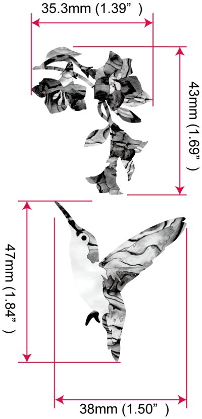 画像7: ハミングバード&フラワーズ