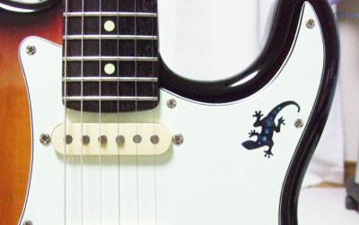 画像6: リザード LIZARD 左右対称SET