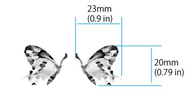 画像5: ツインバタフライ