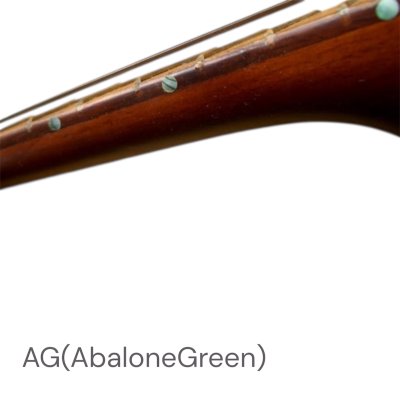 画像5: スモール・カスタム・ドット