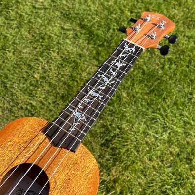 画像2: ツリー・オブ・ライフ ウクレレ用