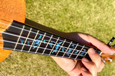 画像3: ツリー・オブ・ライフ(アバロンBLUE) /ウクレレ