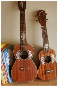 画像6: ハイビスカス ウクレレ 10th ポジション (6)