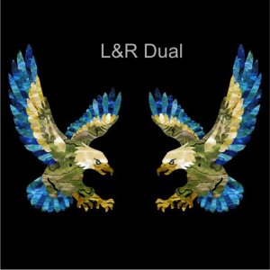 左右対称セット