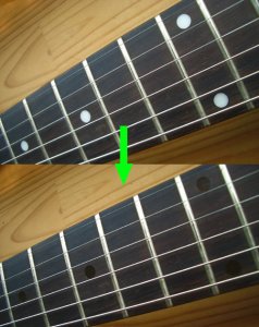 画像2: ローズウッド・ドット (2)