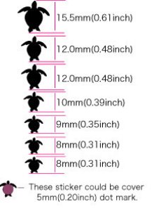 画像6: ウミガメ ウクレレ・ポジション (6)