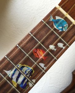 画像5: 小さな水族館 (5)