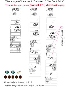画像11: 小さな水族館 (11)