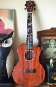 画像4: 小さな水族館 (4)