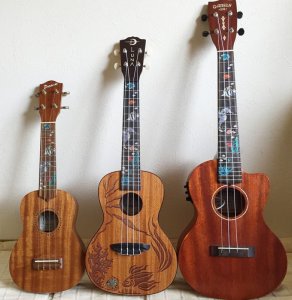 画像9: 小さな水族館 (9)