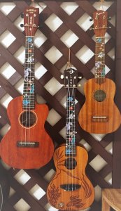 画像10: 小さな水族館 (10)