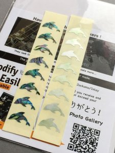 画像6: ドルフィン・イルカ (6)