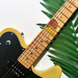 画像3: ハワイアン・サンセット (3)