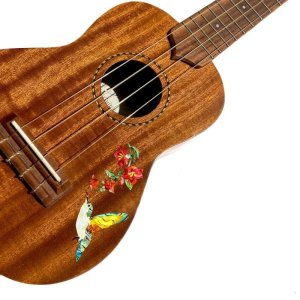 画像3: ハミングバード&フラワーズ (3)