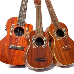 画像3: ハミングバード　ウクレレ用 ロゼッタ (3)