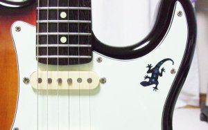 画像6: リザード LIZARD 左右対称SET (6)