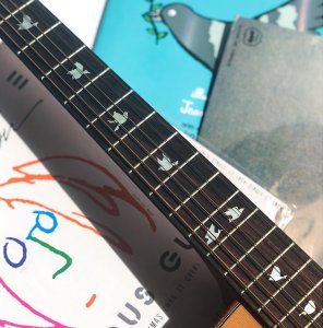 画像3: DOVE・鳩 (3)