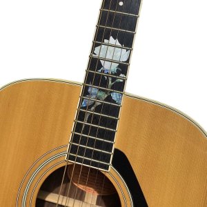 画像3: シングル・ローズ (3)