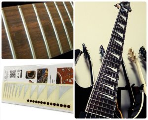 画像2: シャークフィン (2)