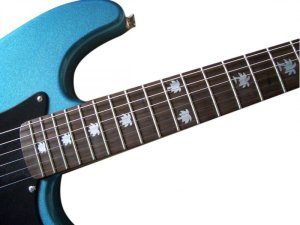 画像3: ヤシの木 (3)