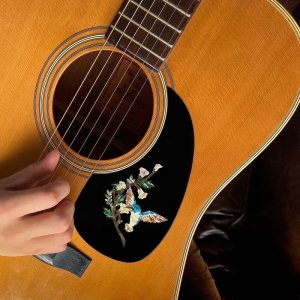 画像6: ハミングバード・デラックス 1/4 (6)