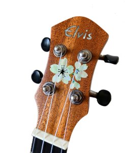 画像5: ウクレレロゼッタ　桜 (5)