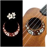 販売 中ホビー・楽器・アート - 値下げ中Aria ミニガット