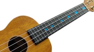 画像5: パイナップル ウクレレ・ポジション (5)