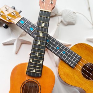 画像1: パイナップル ウクレレ・ポジション (1)